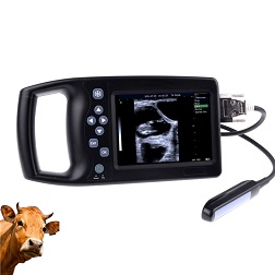 M234A Handheld Horse/Cattle Ultrasound Scanner 