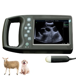 M234 Handheld Veterinary Ultrasound Scanner - 副本